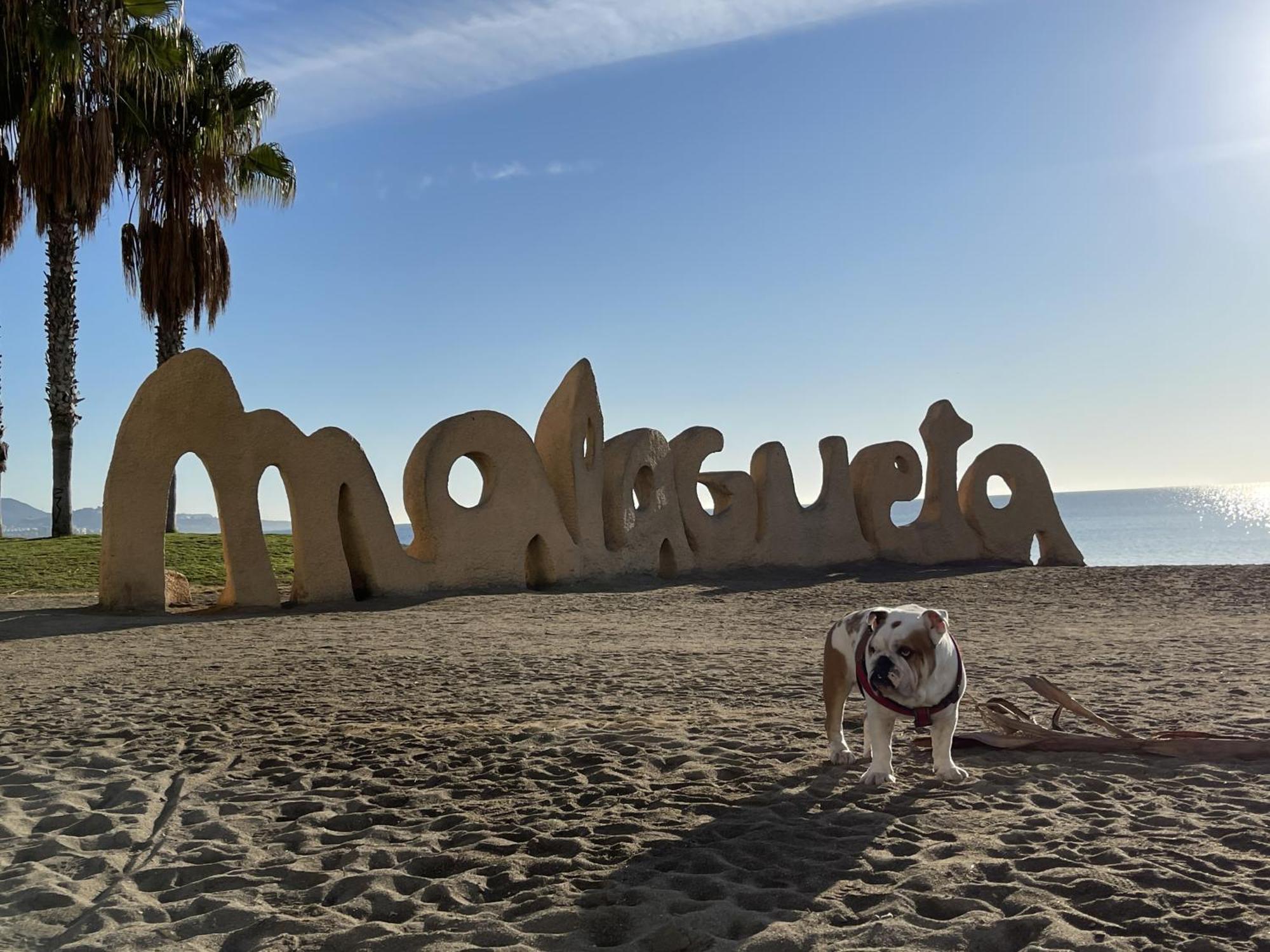 Apto Boutique En La Malagueta Málaga Eksteriør bilde